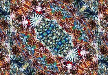 顽皮狗18年资深开发者归来 成立新工作室Wildflower