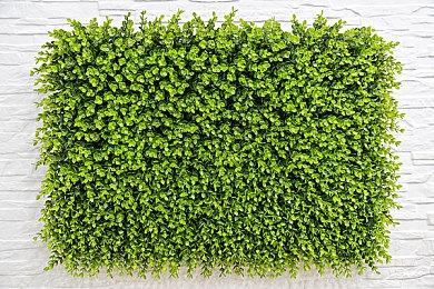 《WWE2K22》发布新预告 于明年3月发售